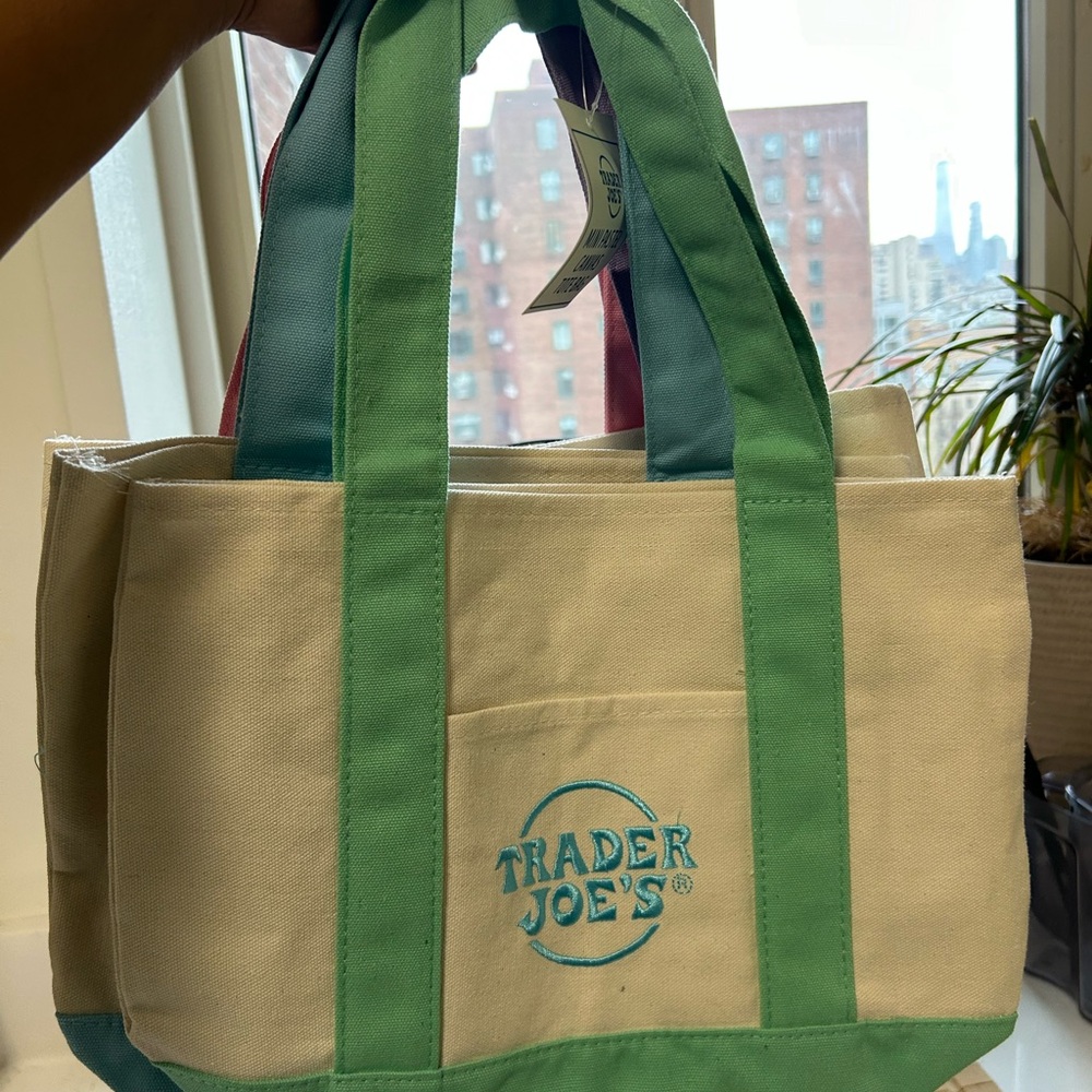 *Limited Edition* Trader Joe's Pastel Green Mini Canvas Tote Bag